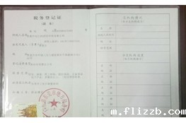 世界杯视频直播在线观看税务证